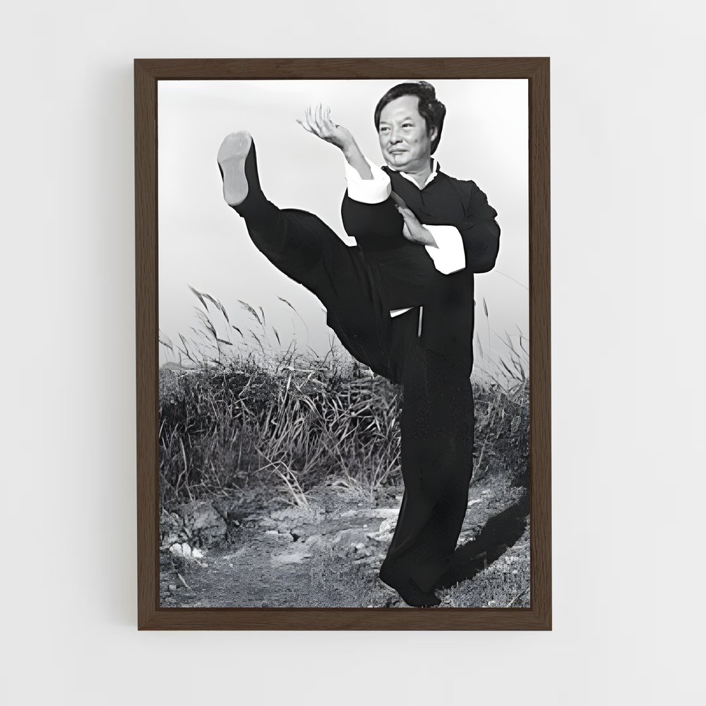 Poster Wong shun – affiche Wing Chun (vue 5)